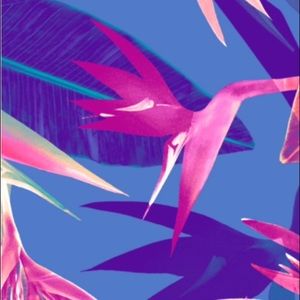 Meet your Posher, Kalli